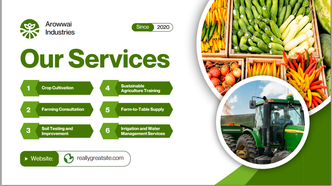 Elevate Your Brand With A Professional Profile